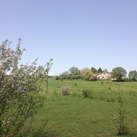 Les Gites D'Eliane Laragne-Monteglin Exterior foto