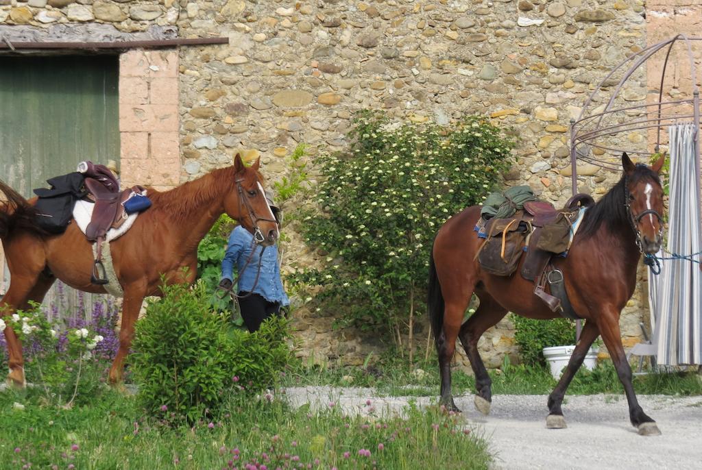 Les Gites D'Eliane Laragne-Monteglin Exterior foto