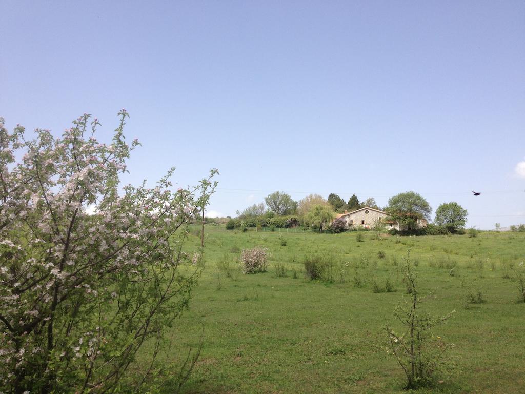Les Gites D'Eliane Laragne-Monteglin Exterior foto