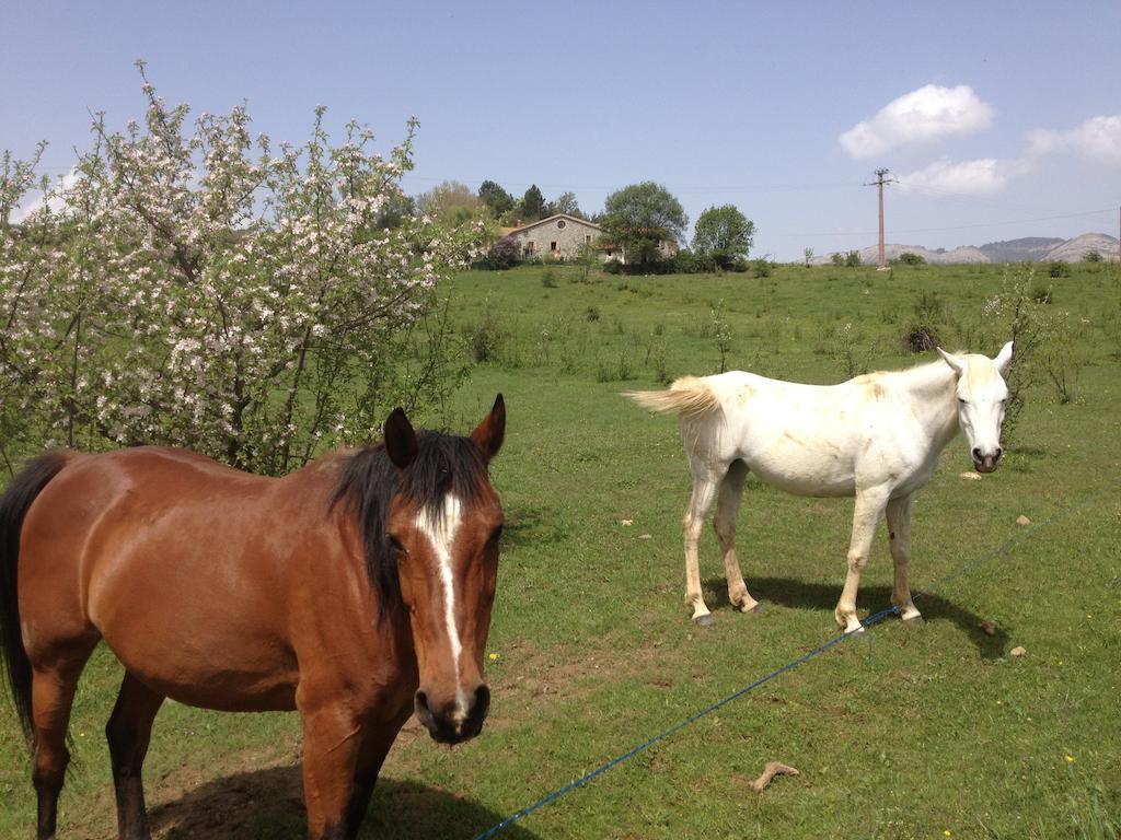 Les Gites D'Eliane Laragne-Monteglin Exterior foto